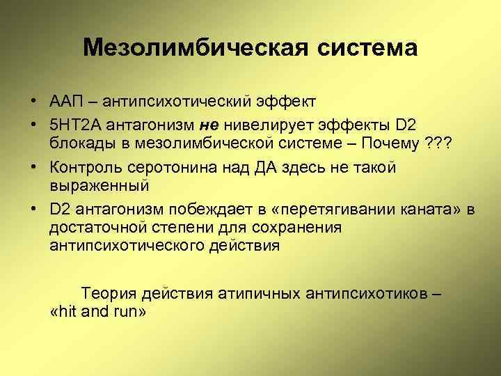 Мезолимбическая система • ААП – антипсихотический эффект • 5 НТ 2 А антагонизм не
