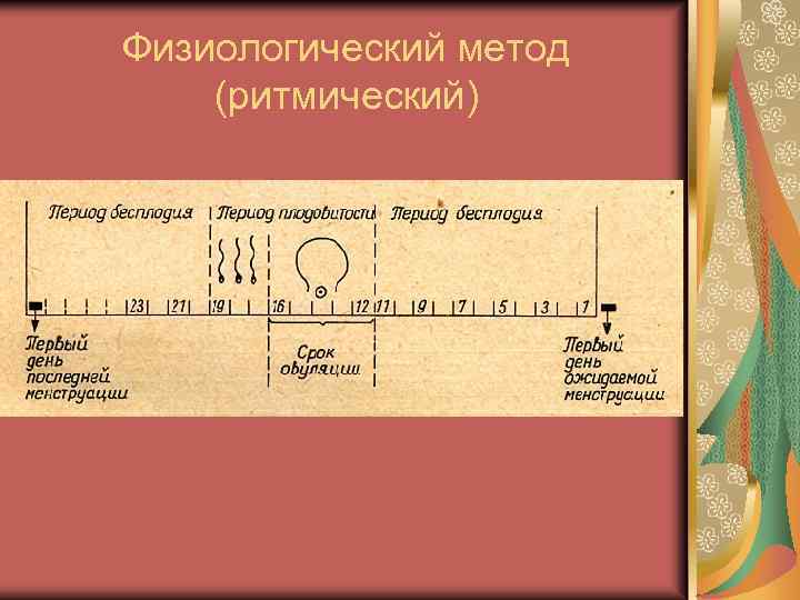 Физиологический метод (ритмический) 