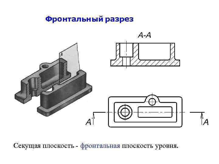 Фронтальный разрез Секущая плоскость - фронтальная плоскость уровня. 