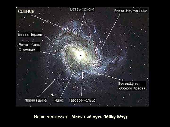 Наша галактика – Млечный путь (Milky Way) 