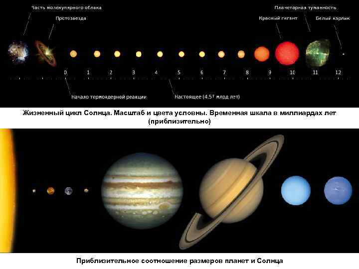 Жизненный цикл Солнца. Масштаб и цвета условны. Временная шкала в миллиардах лет (приблизительно) Приблизительное