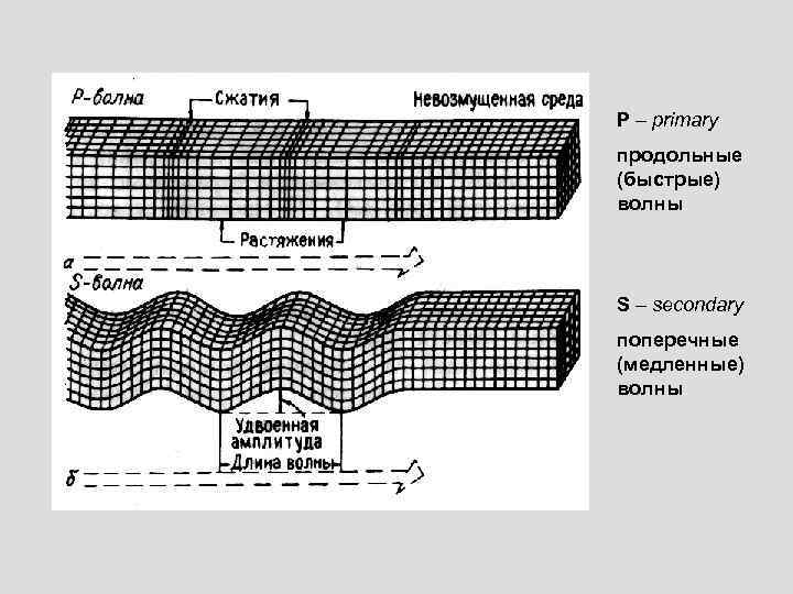 P – primary продольные (быстрые) волны S – secondary поперечные (медленные) волны 