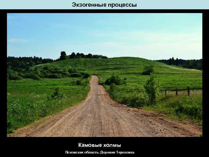Экзогенные процессы Камовые холмы Псковская область. Деревня Тереховка 