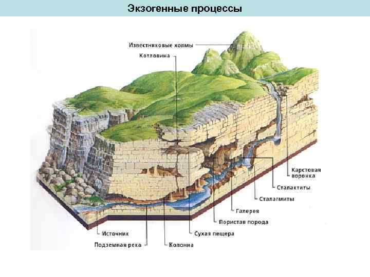 Что такое экзогенные процессы