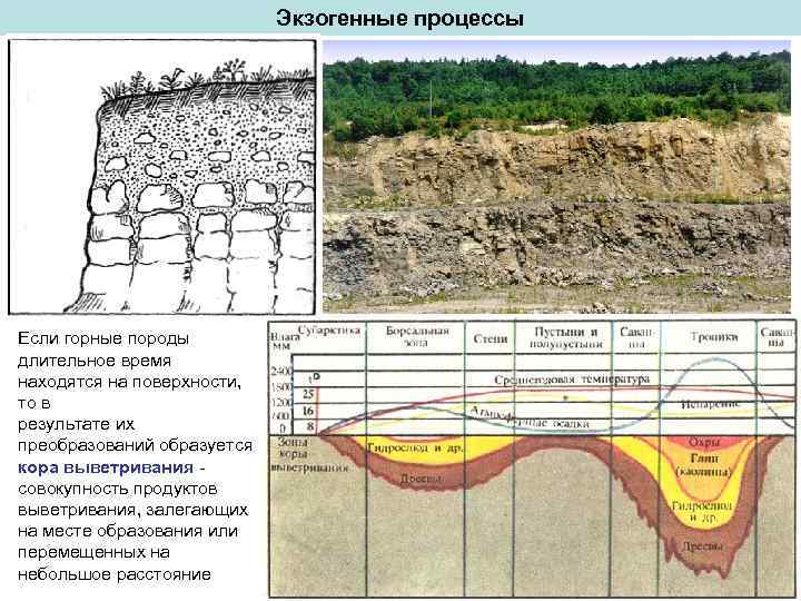 Экзогенные процессы