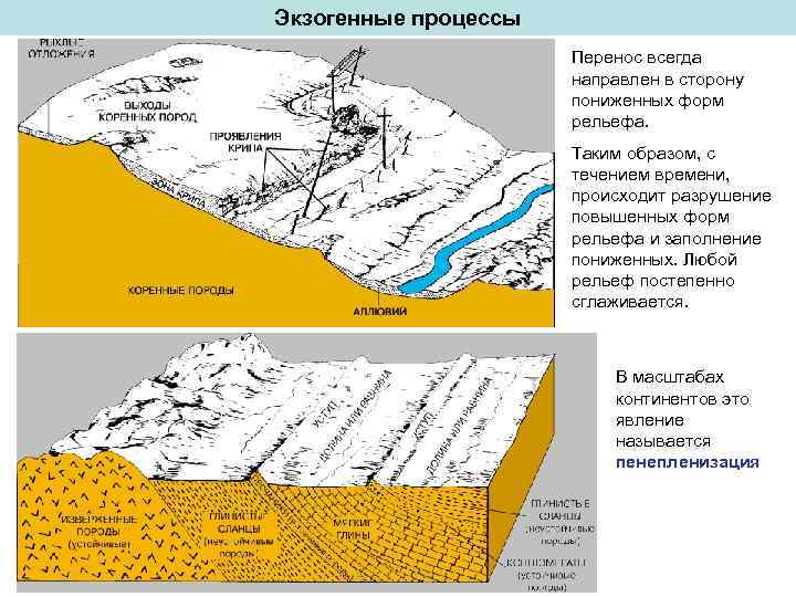 Что такое экзогенные процессы