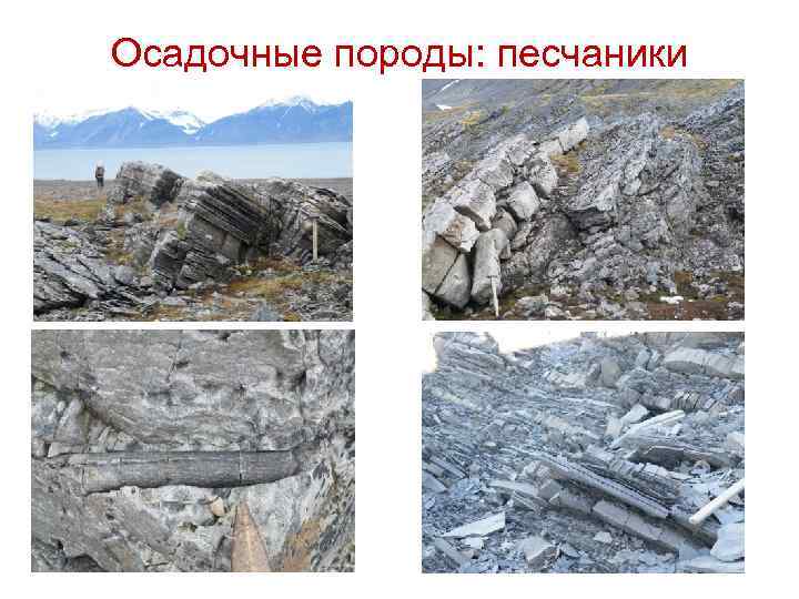 Осадочные породы: песчаники 