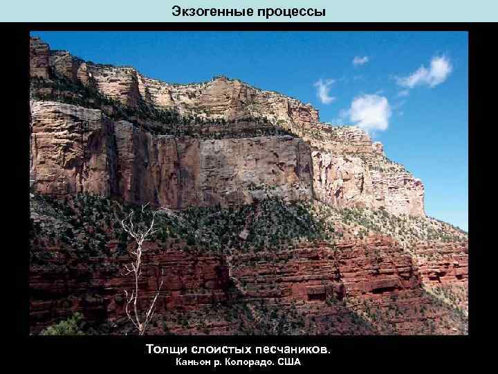 Экзогенные процессы Толщи слоистых песчаников. Каньон р. Колорадо. США 
