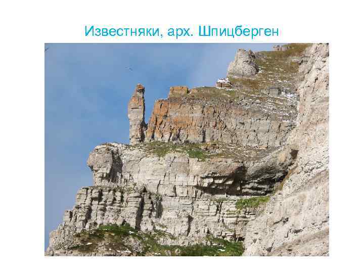 Известняки, арх. Шпицберген 