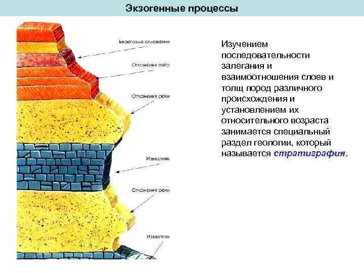 Экзогенные процессы Изучением последовательности залегания и взаимоотношения слоев и толщ пород различного происхождения и