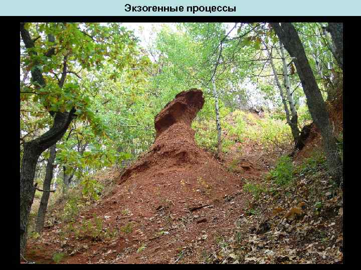 Экзогенные процессы 