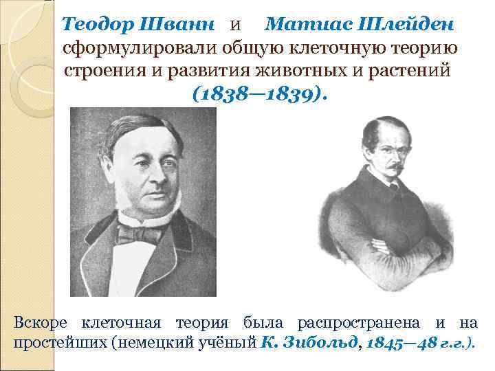 Клеточную теорию сформулировали. Теодор Шванн 1839. Маттиас Шлейден 1838. Теодор Шванн и Матиас Шлейден клеточная теория. Шванн Шлейден Вирхов.