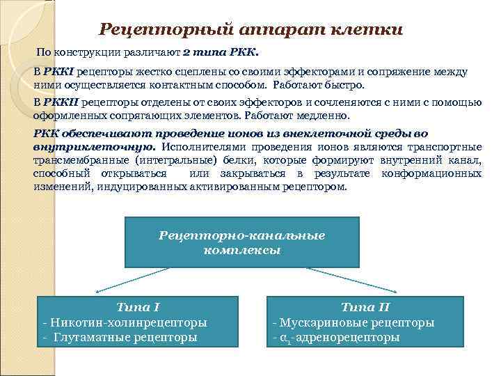 Рецепторный аппарат клетки По конструкции различают 2 типа РКК. В РККI рецепторы жестко сцеплены