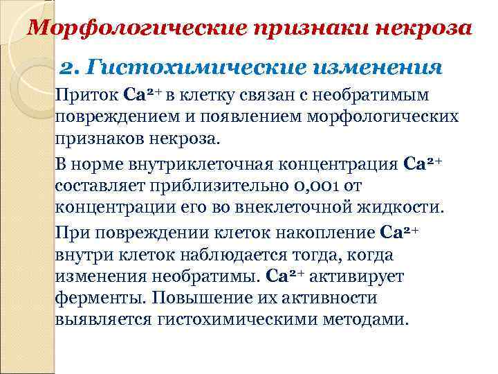 Морфологические признаки некроза 2. Гистохимические изменения Приток Ca 2+ в клетку связан с необратимым