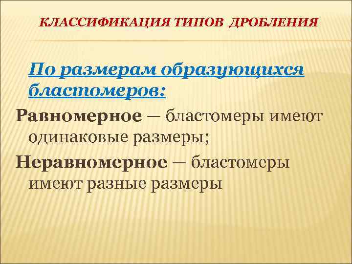 КЛАССИФИКАЦИЯ ТИПОВ ДРОБЛЕНИЯ По размерам образующихся бластомеров: Равномерное — бластомеры имеют одинаковые размеры; Неравномерное