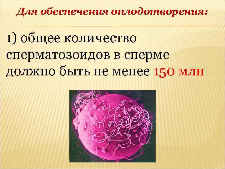 Для обеспечения оплодотворения: 1) общее количество сперматозоидов в сперме должно быть не менее 150