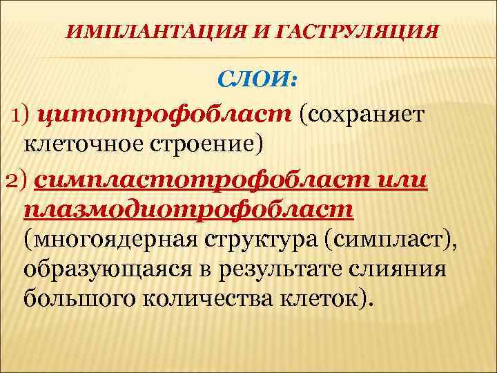 ИМПЛАНТАЦИЯ И ГАСТРУЛЯЦИЯ СЛОИ: 1) цитотрофобласт (сохраняет клеточное строение) 2) симпластотрофобласт или плазмодиотрофобласт (многоядерная