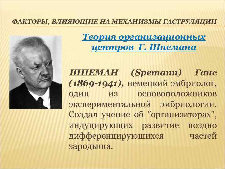 ФАКТОРЫ, ВЛИЯЮЩИЕ НА МЕХАНИЗМЫ ГАСТРУЛЯЦИИ Теория организационных центров Г. Шпемана ШПЕМАН (Spemann) Ганс (1869