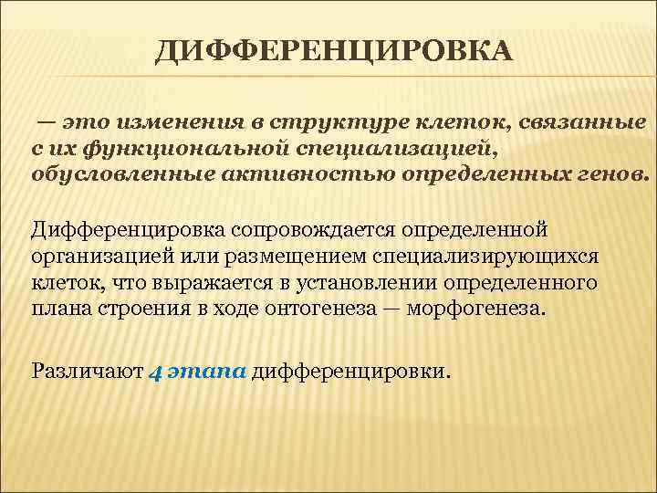 ДИФФЕРЕНЦИРОВКА — это изменения в структуре клеток, связанные с их функциональной специализацией, обусловленные активностью