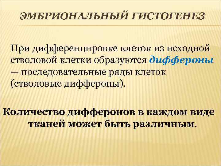 ЭМБРИОНАЛЬНЫЙ ГИСТОГЕНЕЗ При дифференцировке клеток из исходной стволовой клетки образуются диффероны — последовательные ряды