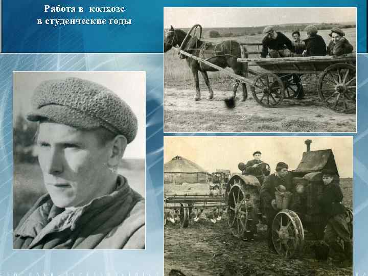 Работа в колхозе в студенческие годы 10 
