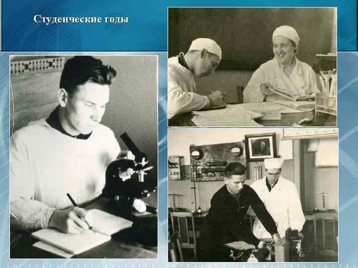 Студенческие годы 11 