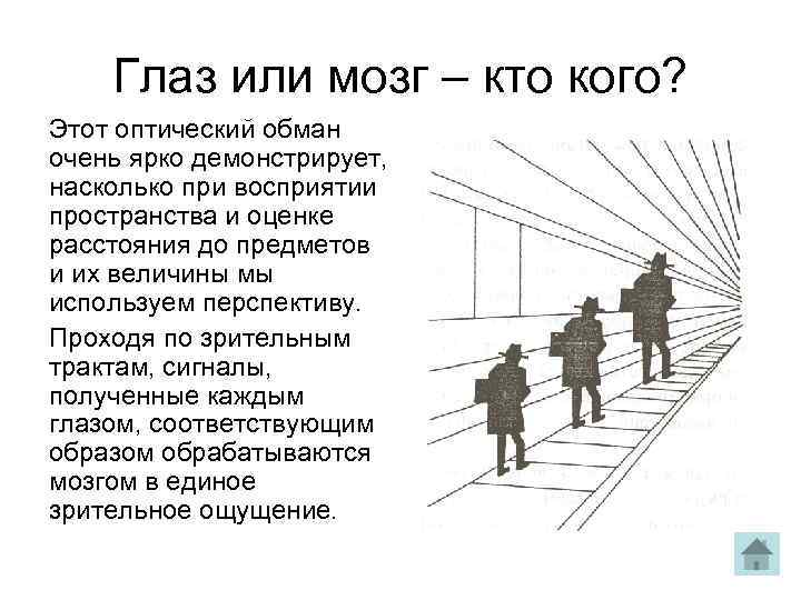 Глаз или мозг – кто кого? Этот оптический обман очень ярко демонстрирует, насколько при