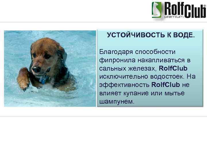 УСТОЙЧИВОСТЬ К ВОДЕ. Благодаря способности фипронила накапливаться в сальных железах, Rolf. Club исключительно водостоек.