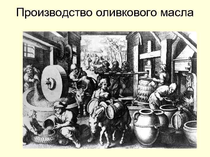 Производство оливкового масла 