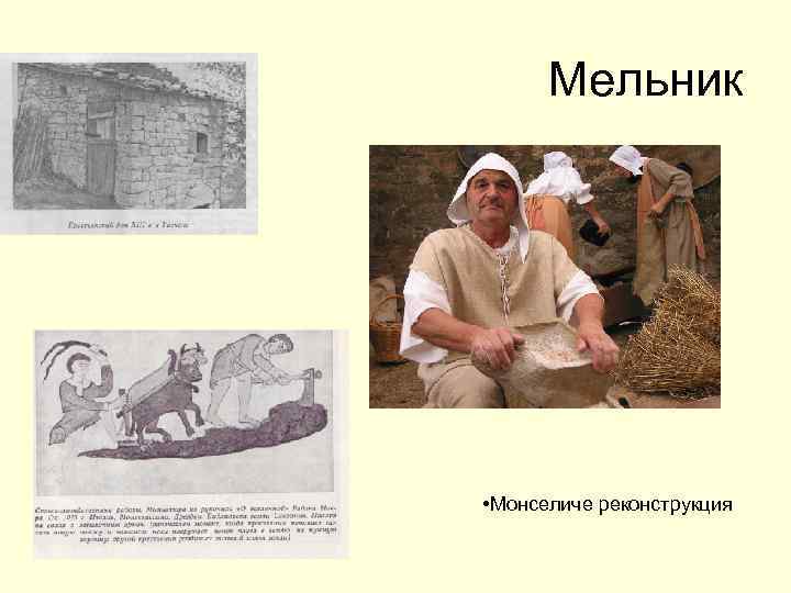 Мельник • Монселиче реконструкция 