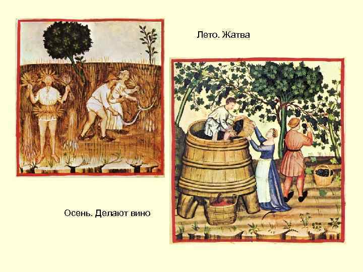 Лето. Жатва Осень. Делают вино 