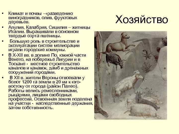  • • • Климат и почвы →разведению виноградников, олив, фруктовых деревьев. Апулия, Калабрия,