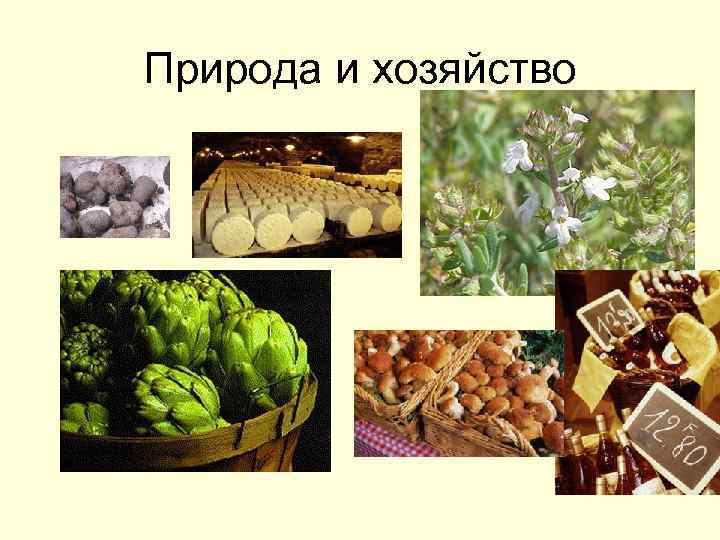 Природа и хозяйство 