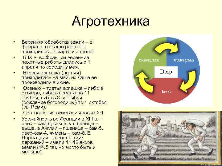 Агротехника • • • Весенняя обработка земли – в феврале, но чаще работать приходилось