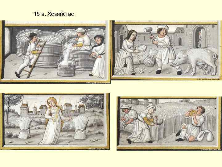 15 в. Хозяйство 
