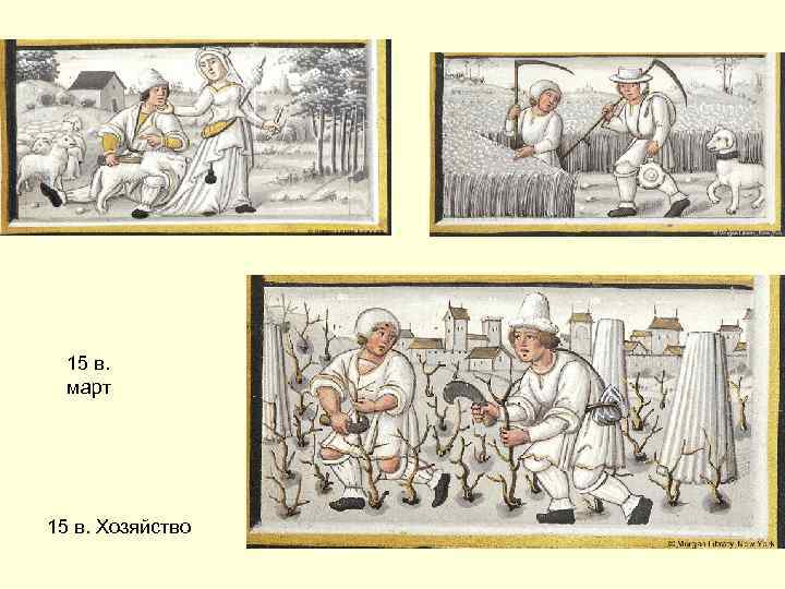 15 в. март 15 в. Хозяйство 