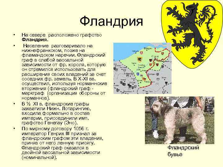 Фландрия • • На севере расположено графство Фландрия. Население разговаривало на нижнефранкском, позже на