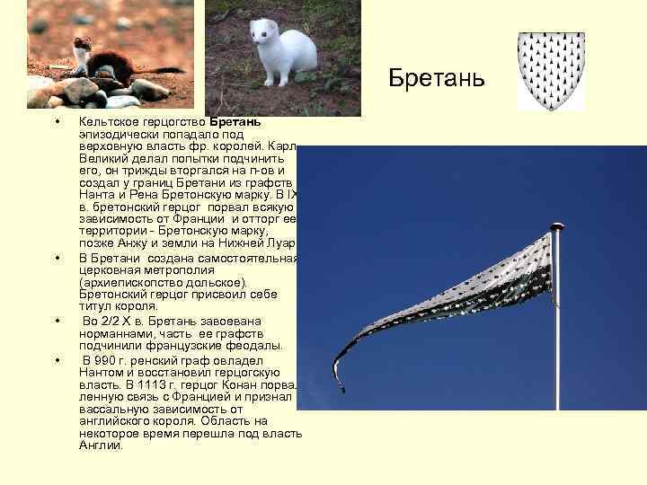 Бретань • • Кельтское герцогство Бретань эпизодически попадало под верховную власть фр. королей. Карл