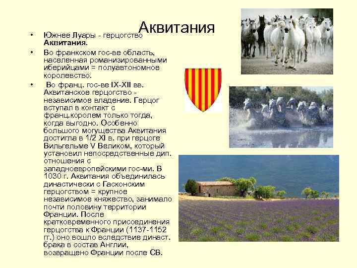  • • • Аквитания Южнее Луары - герцогство Аквитания. Во франкском гос-ве область,
