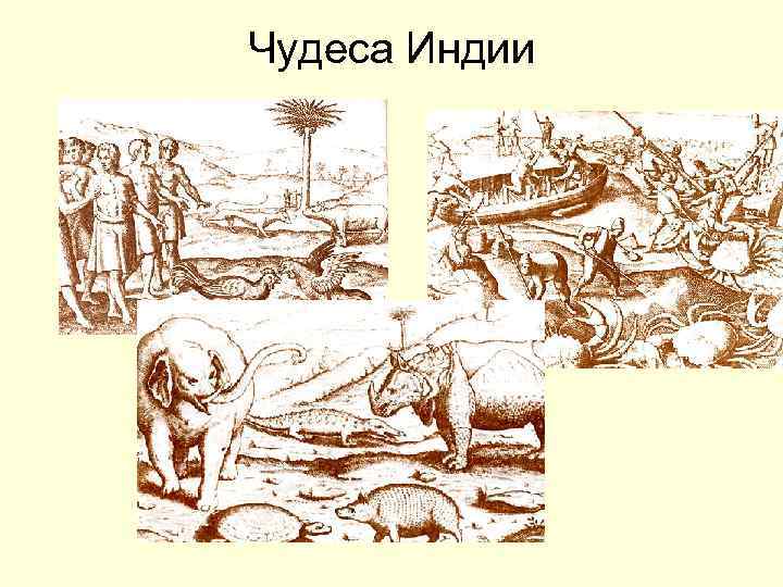 Чудеса Индии 