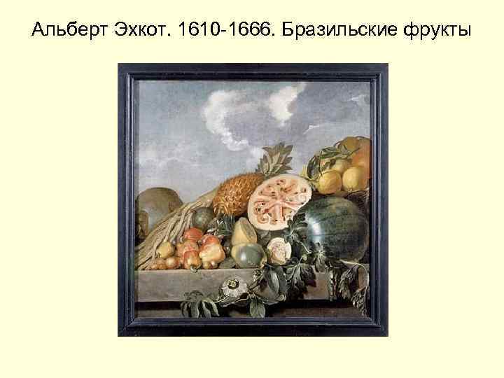 Альберт Эхкот. 1610 -1666. Бразильские фрукты 