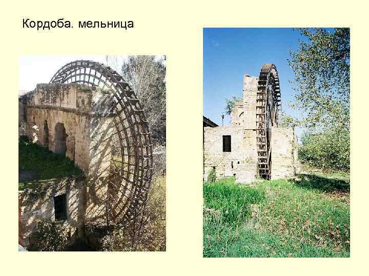 Кордоба. мельница 