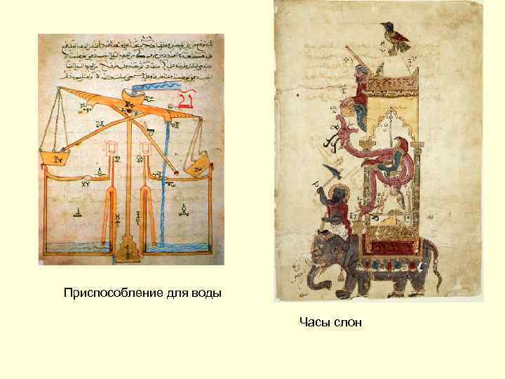 Приспособление для воды Часы слон 