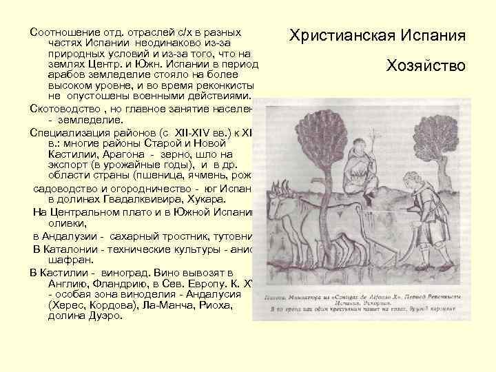 Соотношение отд. отраслей с/х в разных частях Испании неодинаково из-за природных условий и из-за