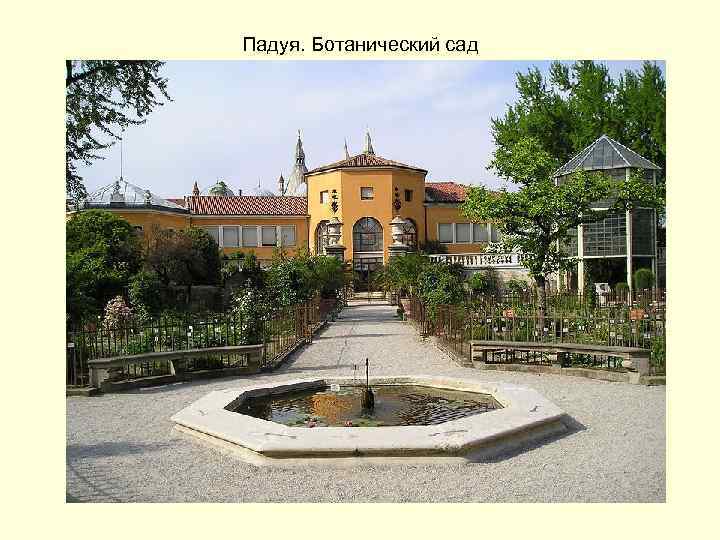 Падуя. Ботанический сад 