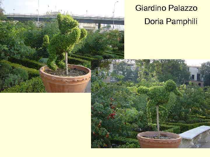 Giardino Palazzo Doria Pamphili 