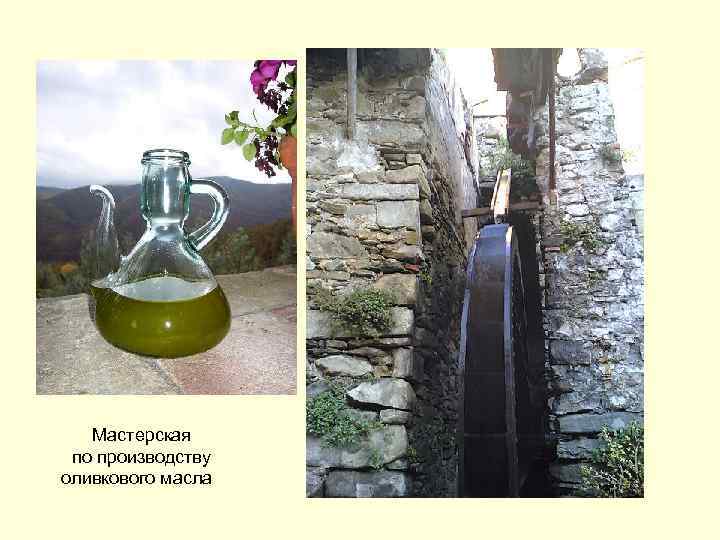 Мастерская по производству оливкового масла 