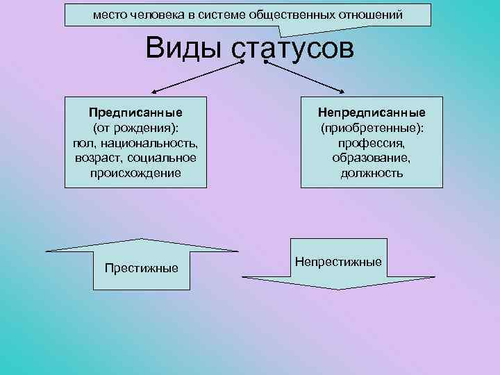 место человека в системе общественных отношений Виды статусов Предписанные (от рождения): пол, национальность, возраст,