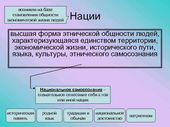 возникли на базе становления общности экономической жизни людей Нации высшая форма этнической общности людей,