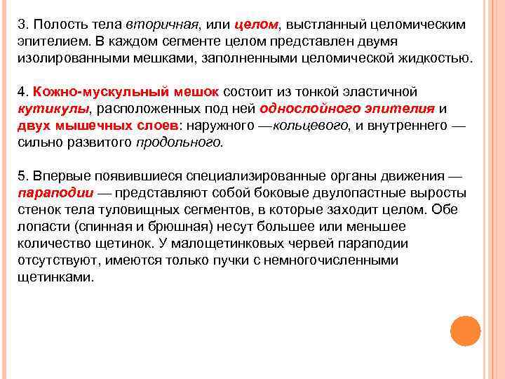 3. Полость тела вторичная, или целом, выстланный целомическим эпителием. В каждом сегменте целом представлен